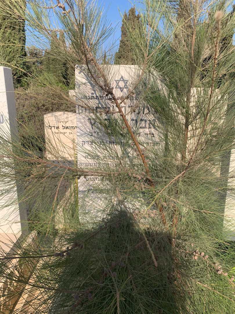 קברו של גולדה "גוסטה" אברמוביץ. תמונה 1