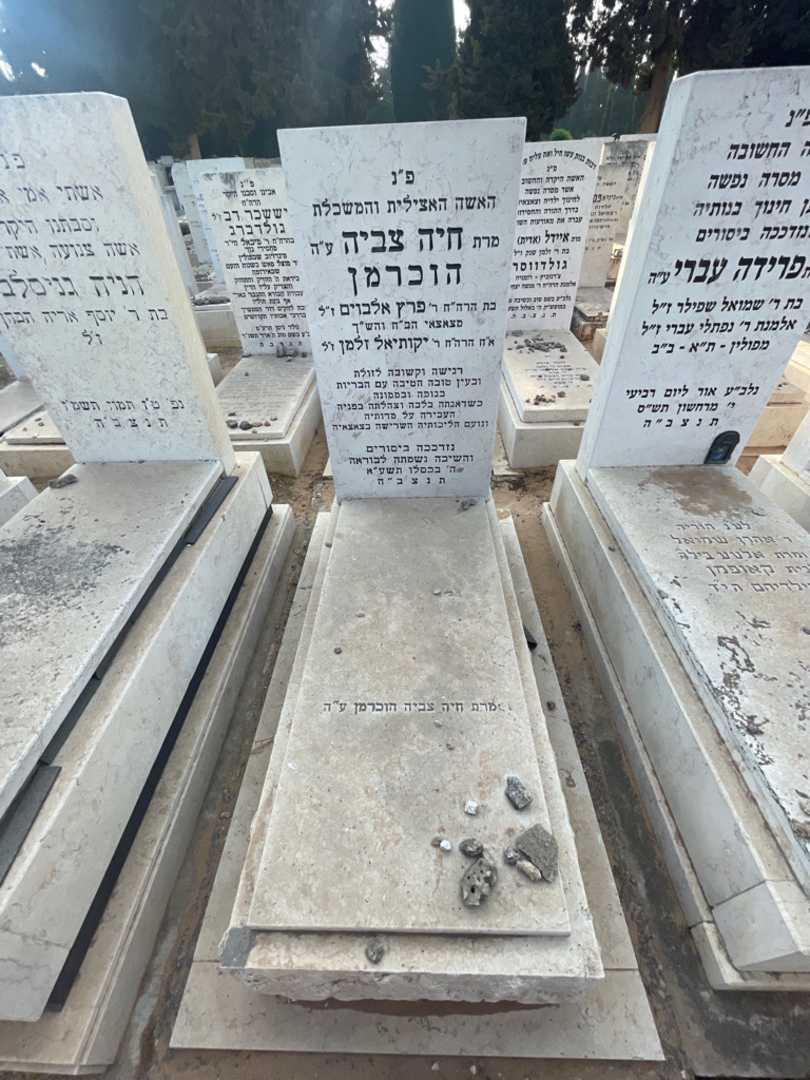 קברו של חיה צביה הוכרמן