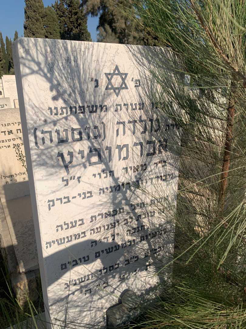קברו של גולדה "גוסטה" אברמוביץ. תמונה 2