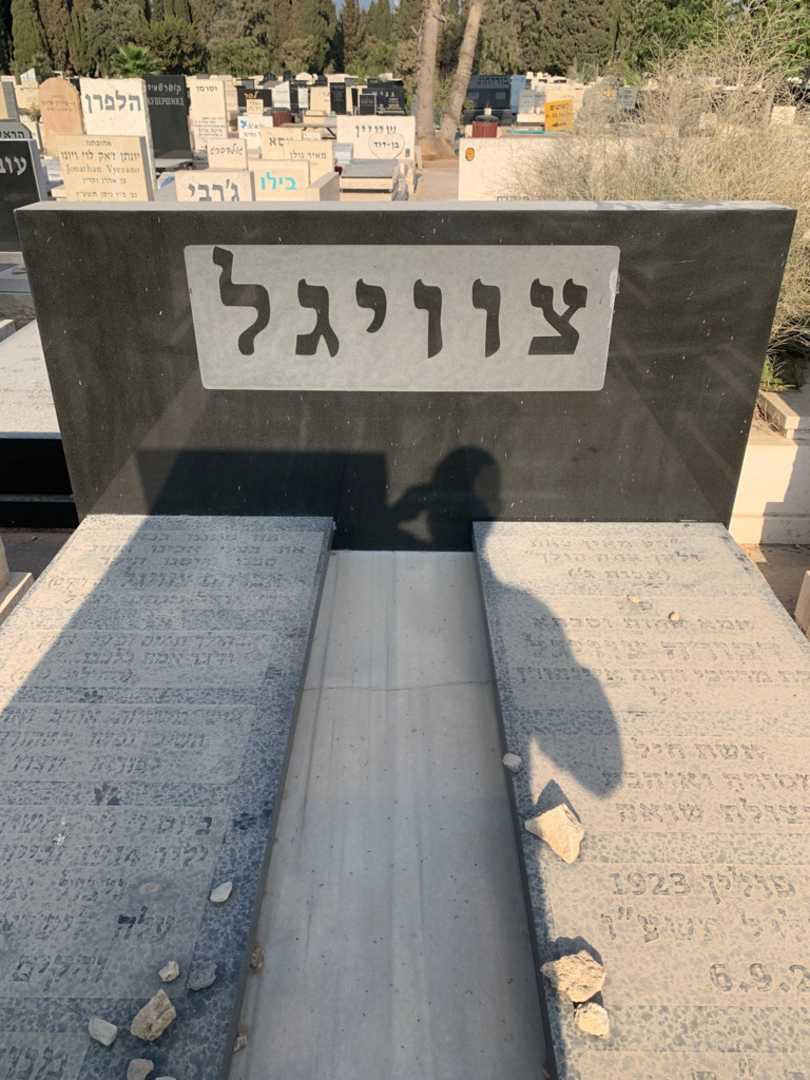 קברו של דבורה צוויגל איינהורן. תמונה 1