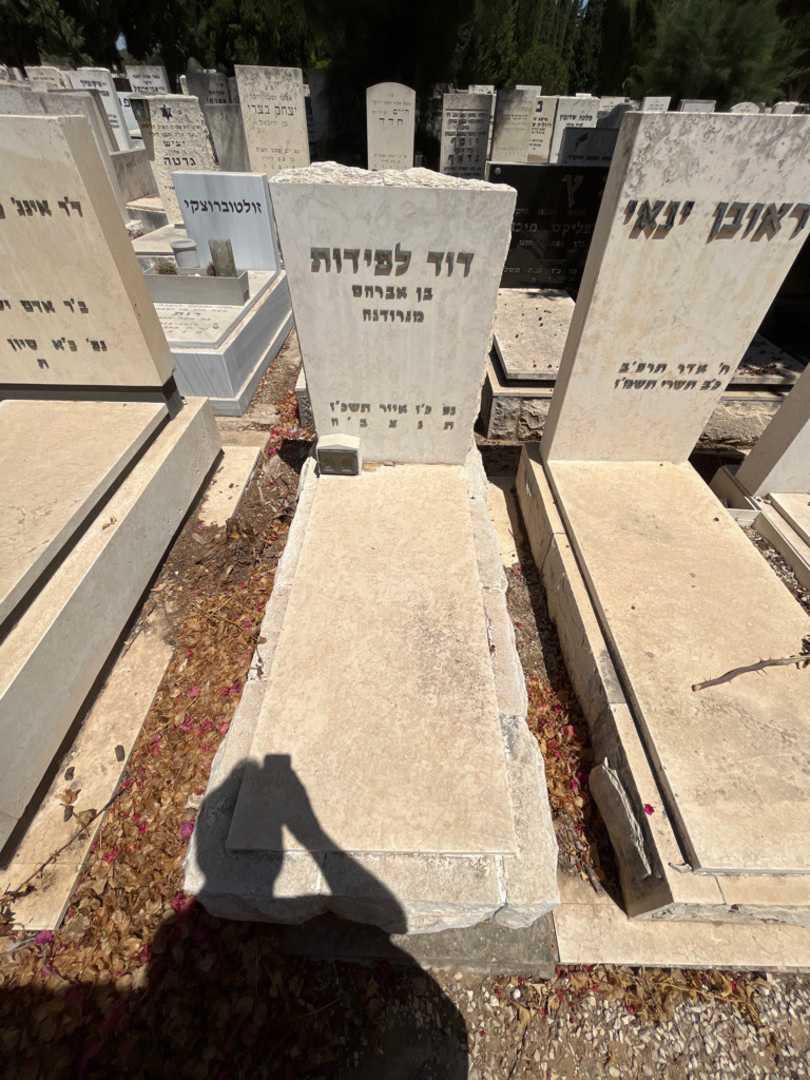 קברו של דוד לפידות