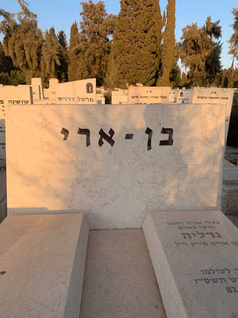 קברו של גדליה בן-ארי. תמונה 1