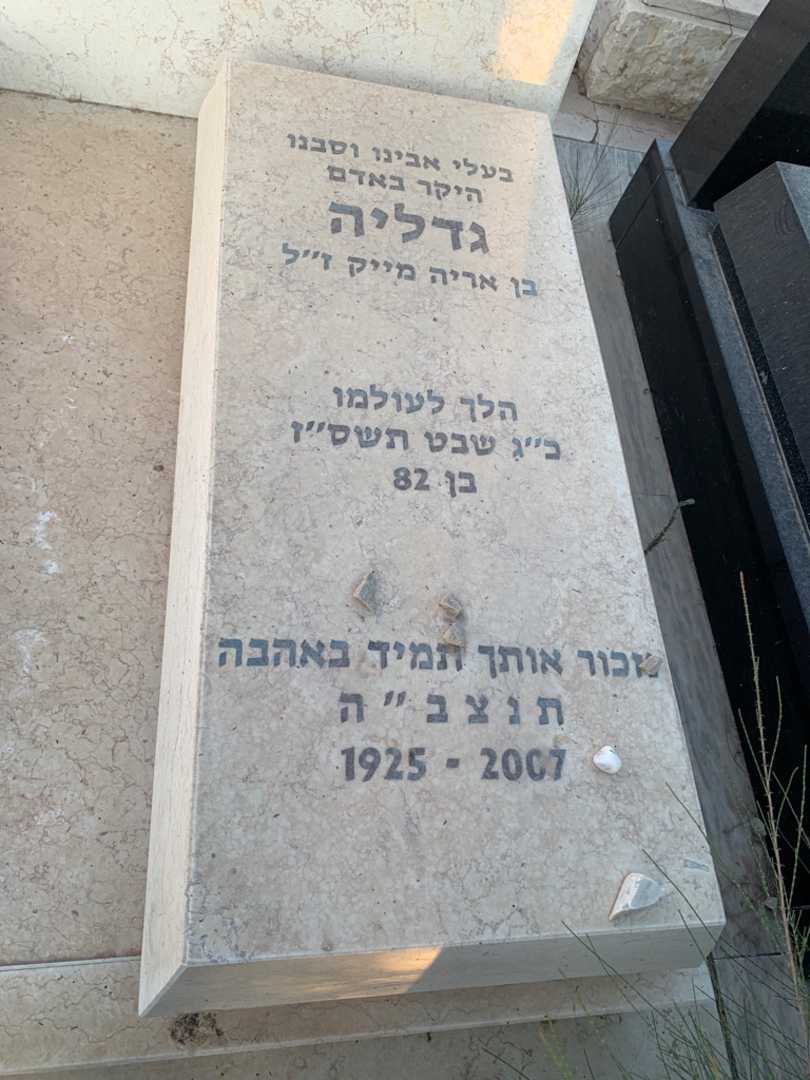 קברו של גדליה בן-ארי. תמונה 2