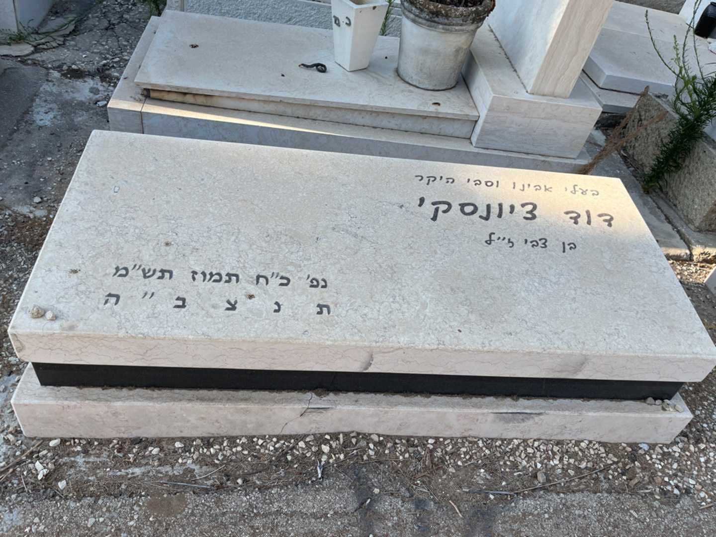 קברו של דוד ציונסקי