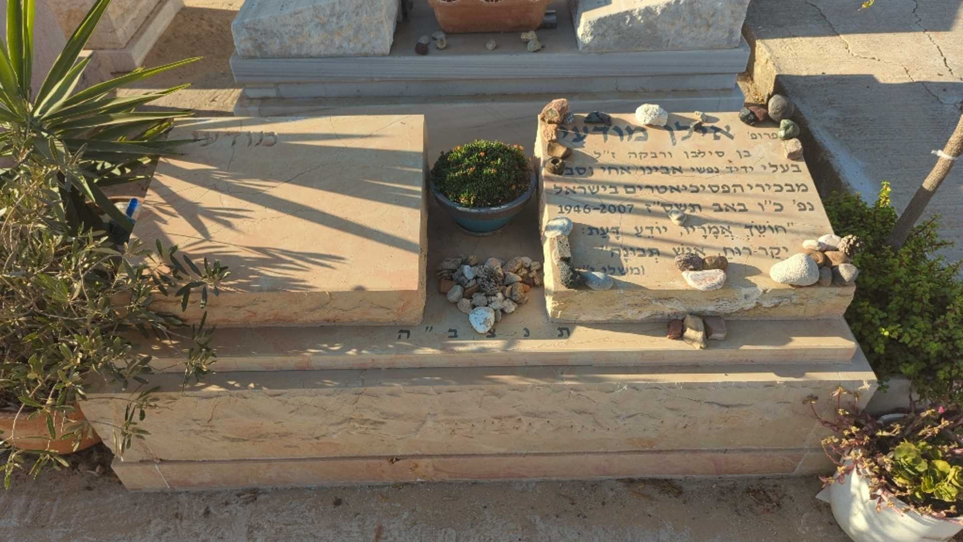 קברו של אילן מודעי