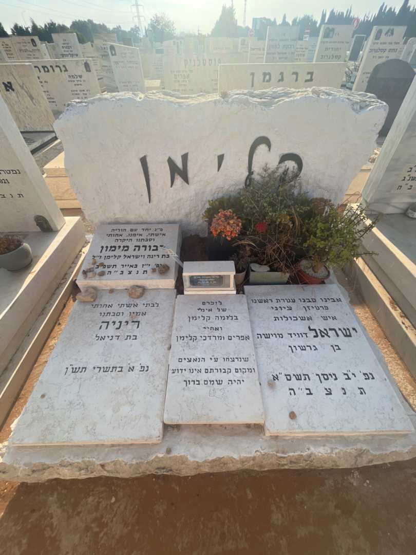 קברו של אפרים קלימן. תמונה 2