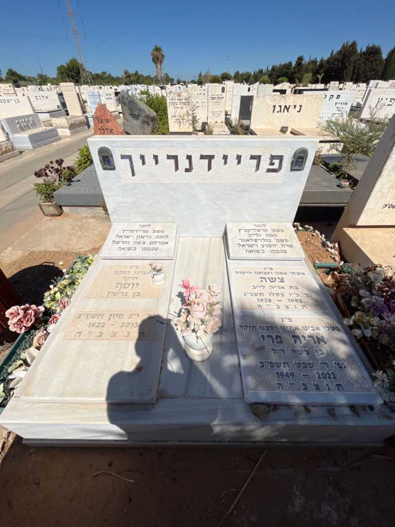 קברו של אריה פרי פריידנרייך. תמונה 1