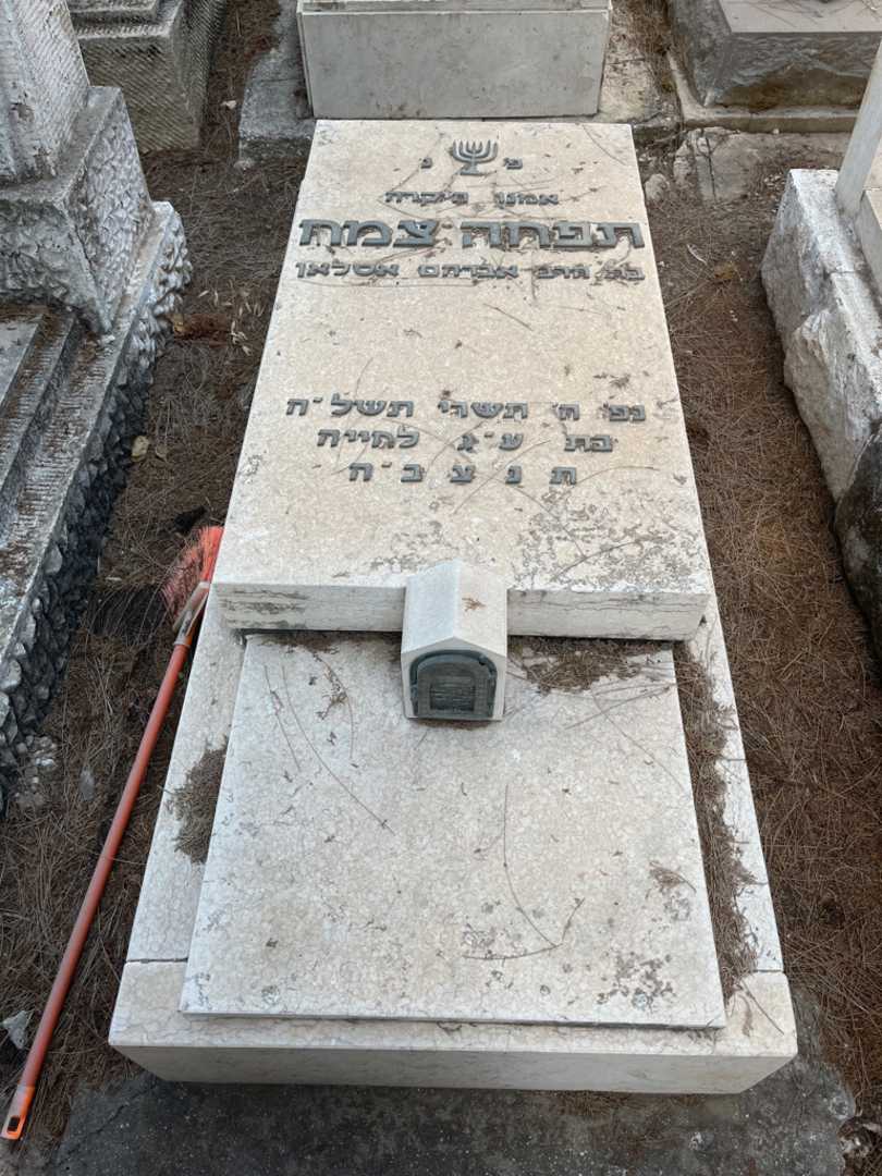 קברו של תפחה צמח