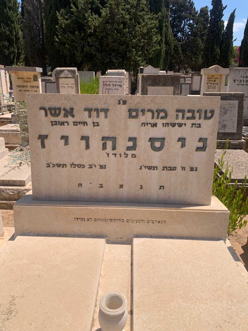 קברו של דוד אשר ניסנהויז. תמונה 1