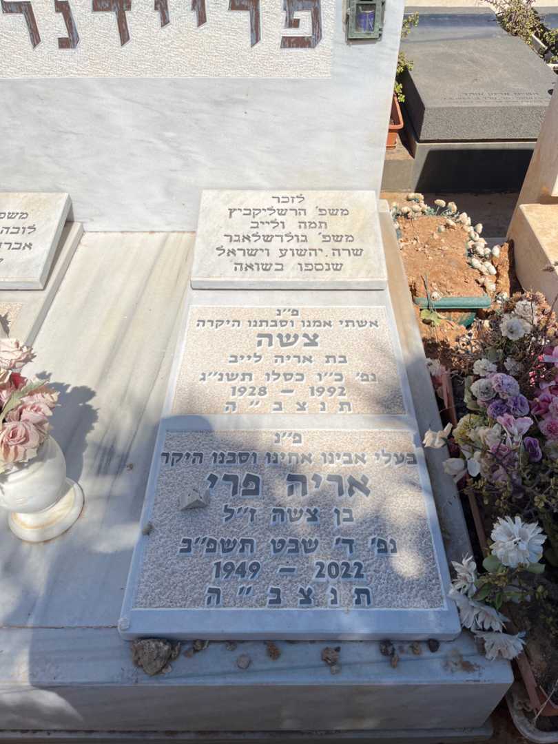 קברו של אריה פרי פריידנרייך. תמונה 2