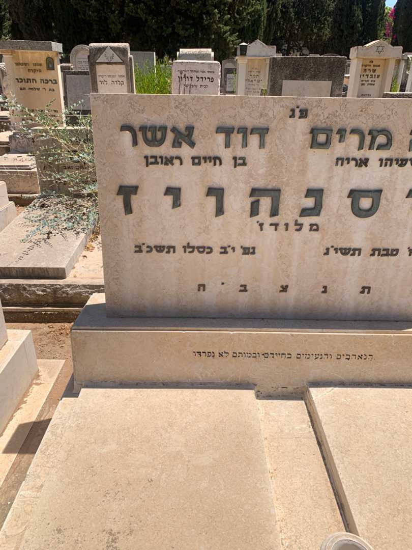 קברו של דוד אשר ניסנהויז. תמונה 2