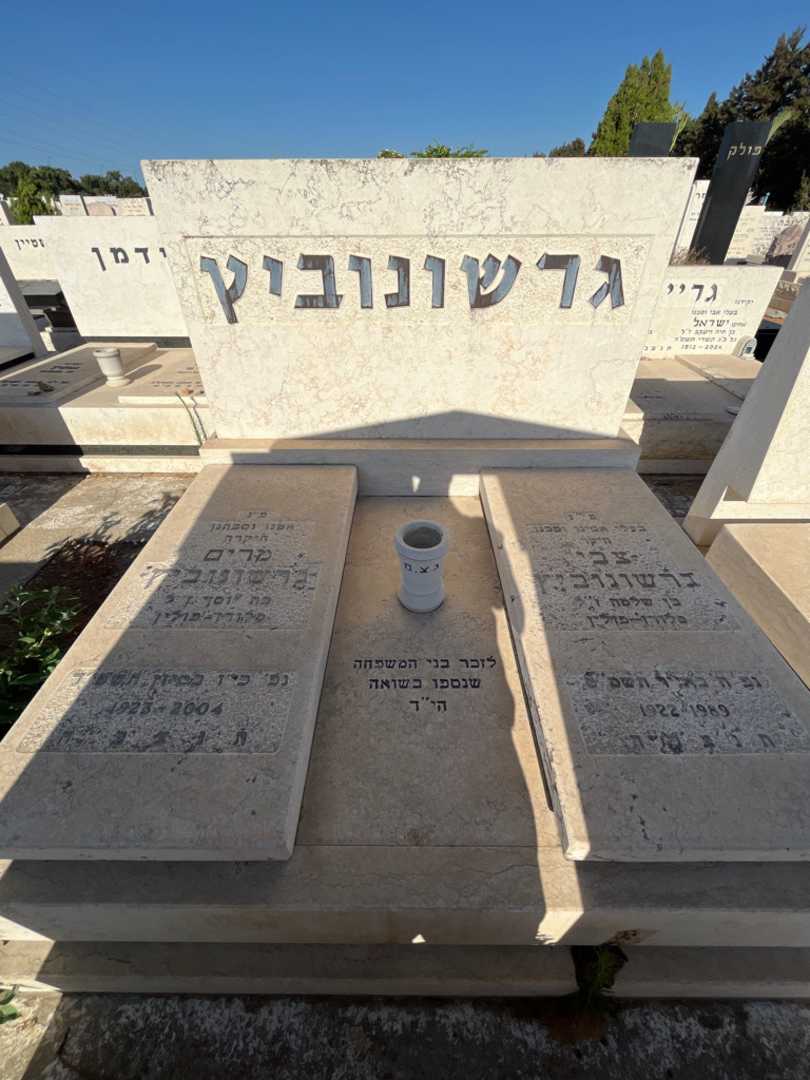 קברו של מרים גרשונוביץ. תמונה 1
