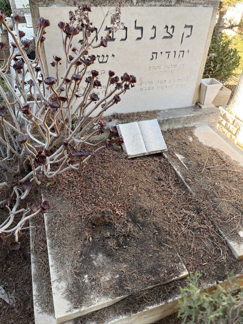 קברו של ישראל קצנלנבוגן. תמונה 1