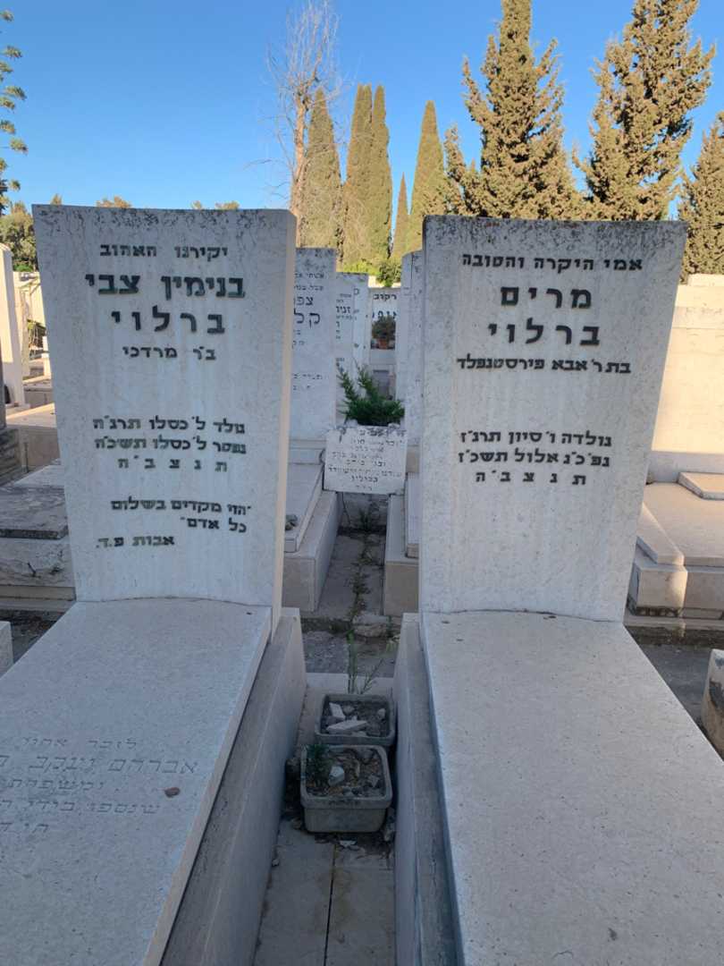 קברו של בנימין צבי ברלוי. תמונה 1