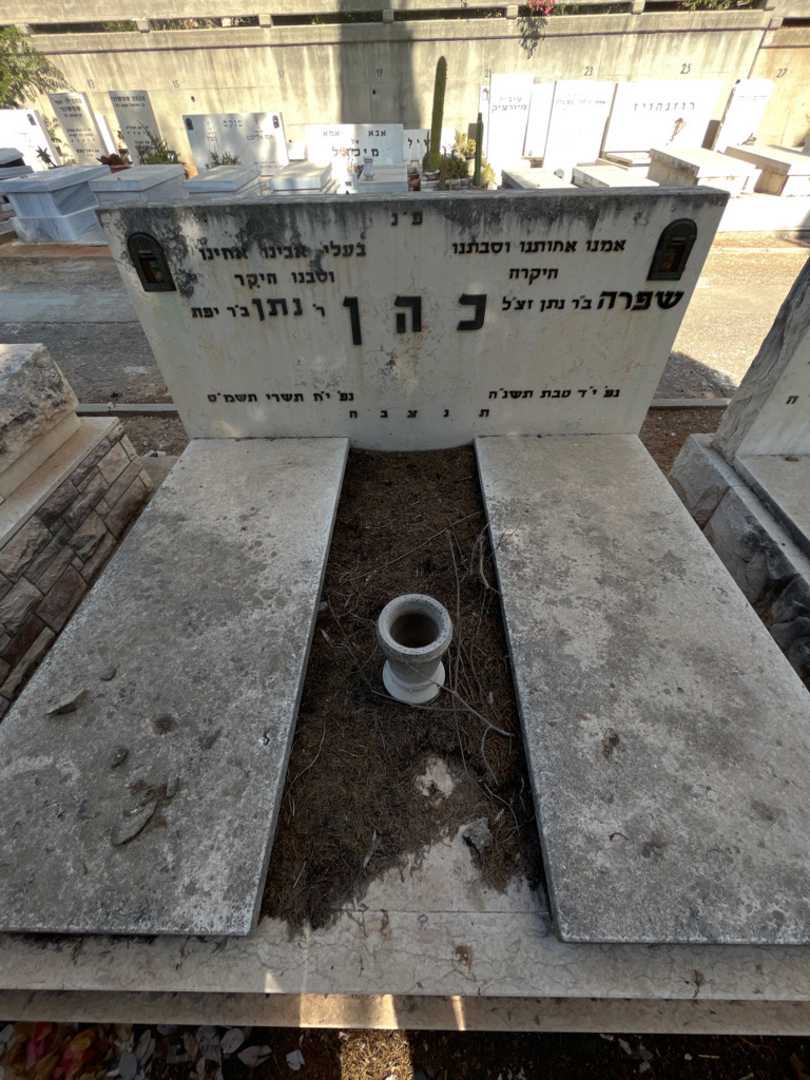 קברו של שפרה כהן. תמונה 2