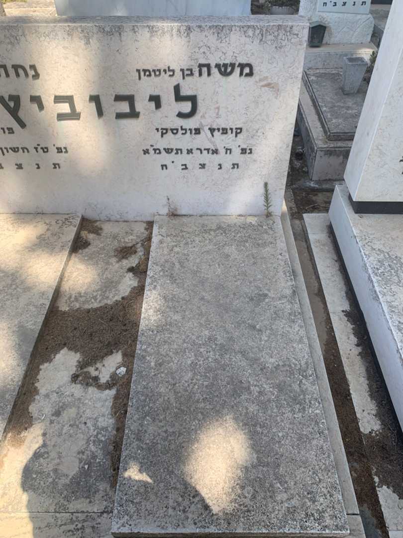 קברו של משה ליבוביץ. תמונה 1