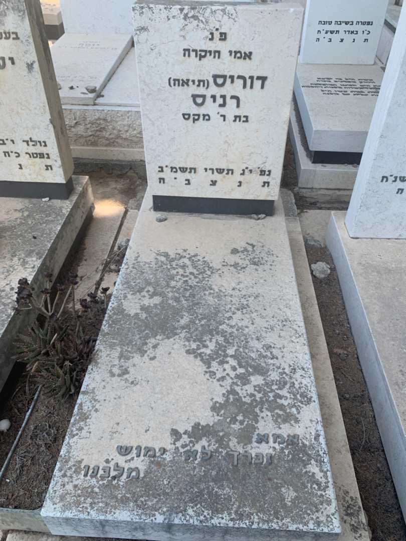 קברו של דוריס "תיאה" רניס. תמונה 1