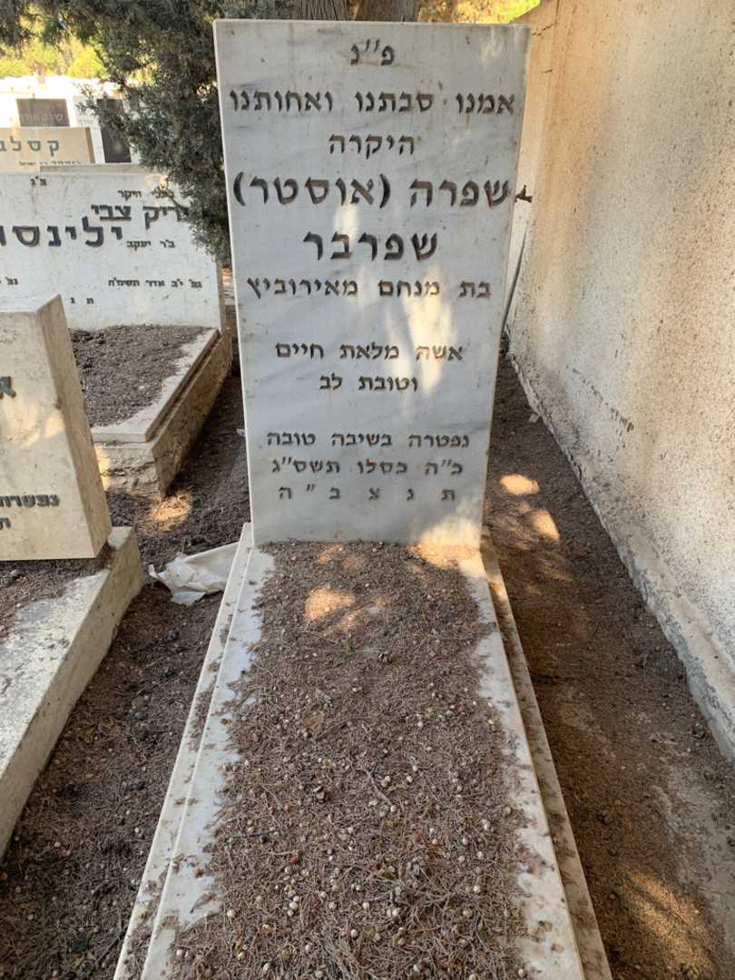 קברו של שפרה "אוסטר" שפרבר