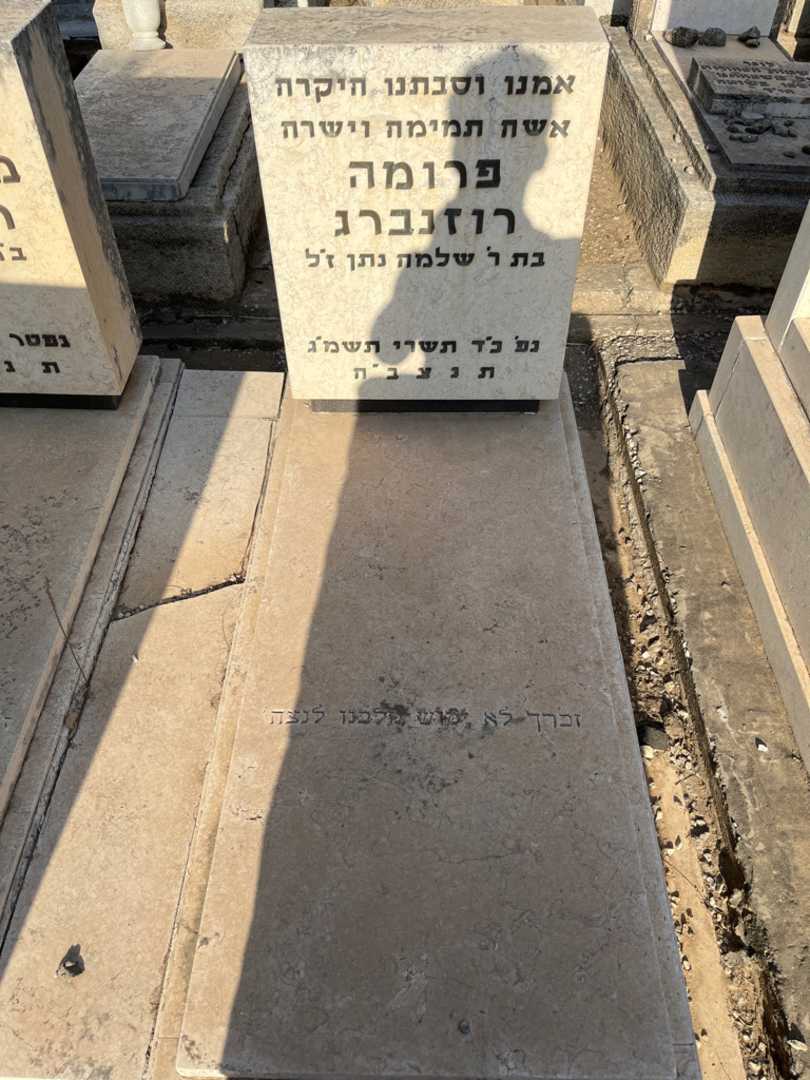 קברו של פרומה רוזנברג. תמונה 1