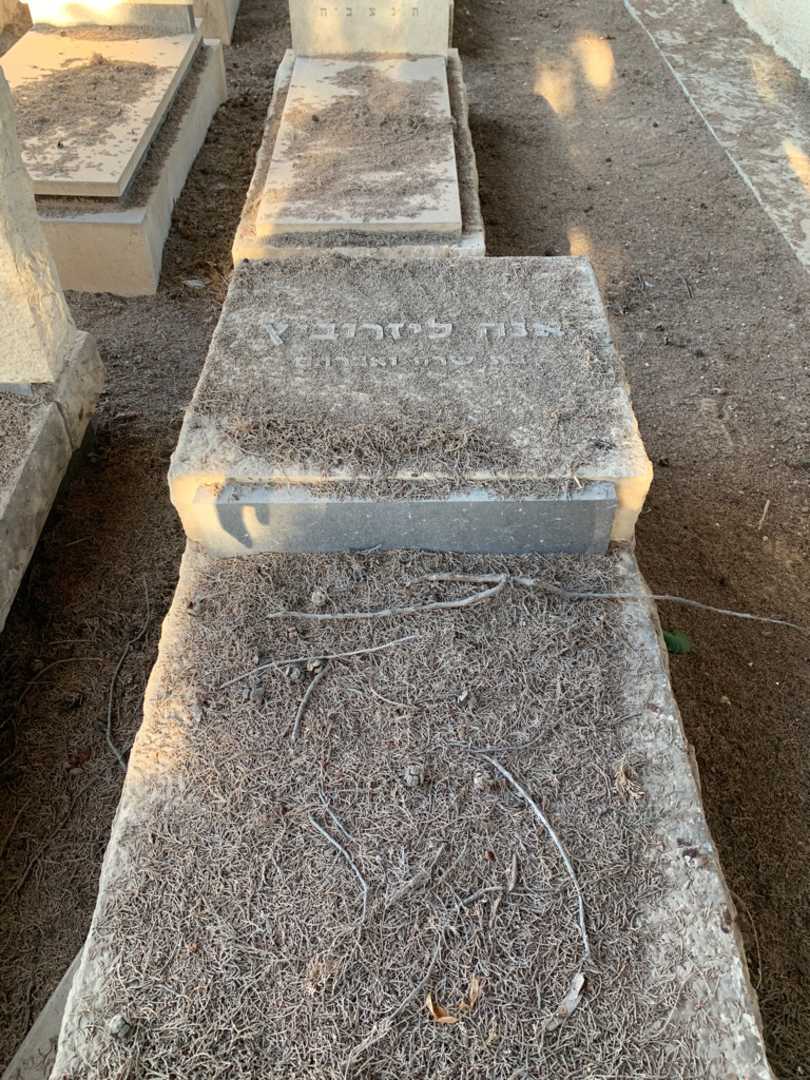 קברו של אנה ליזרוביץ. תמונה 1