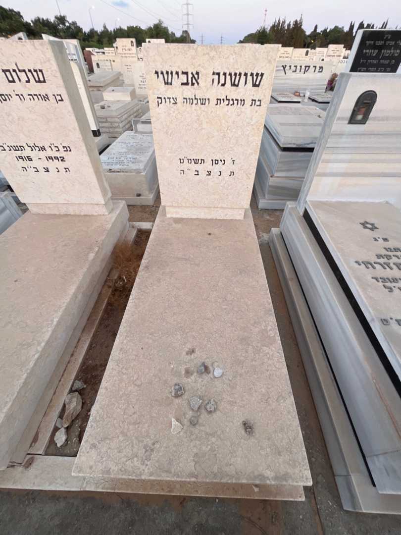 קברו של שושנה אבישי. תמונה 1