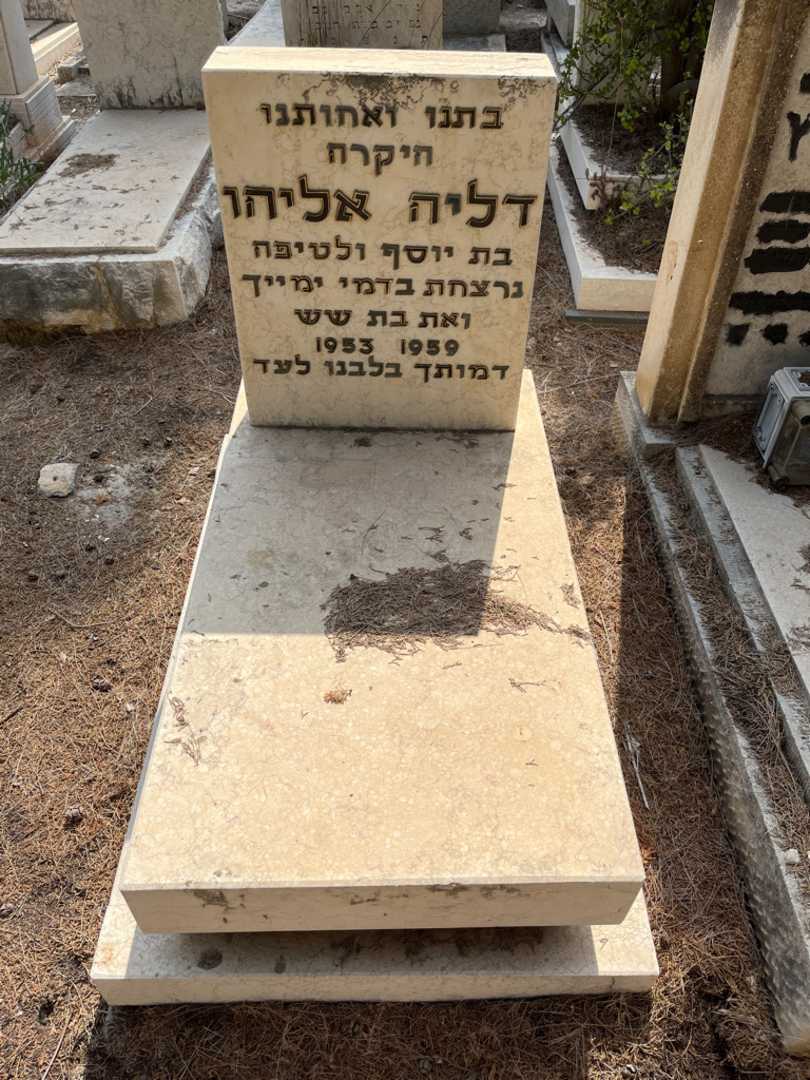 קברו של דליה אליהו