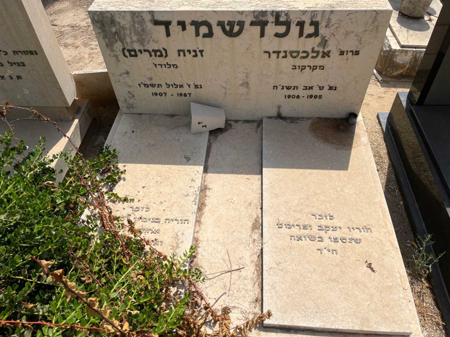 קברו של זניה "מרים" גולדשמיד. תמונה 1