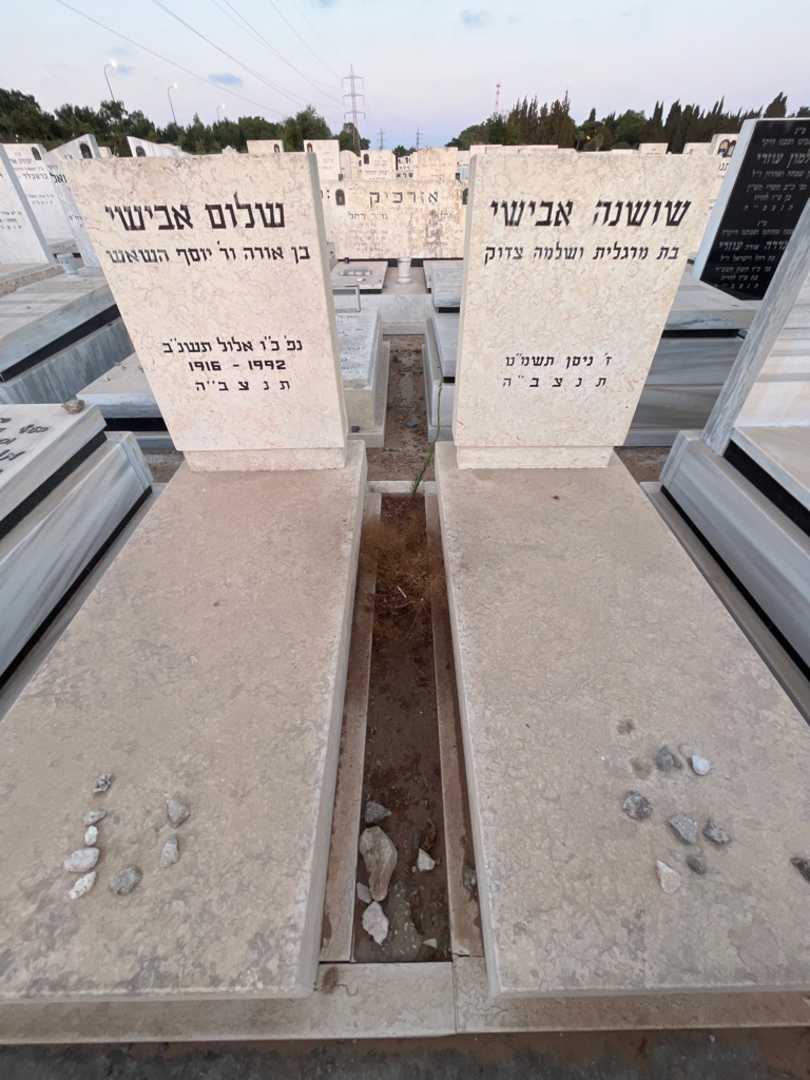 קברו של שושנה אבישי. תמונה 2