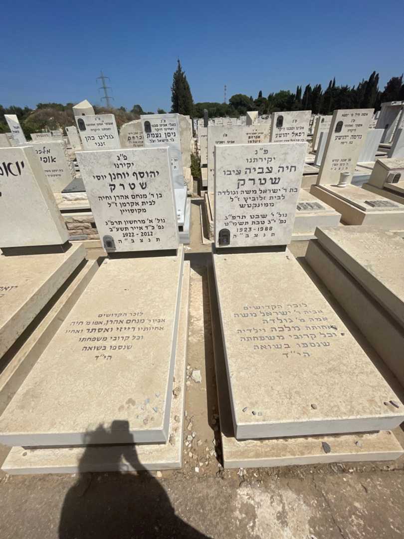 קברו של חיה צביה "ציבו" שטרק. תמונה 1