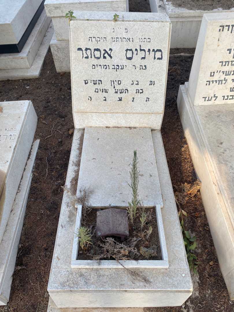 קברו של אסתר מיליס
