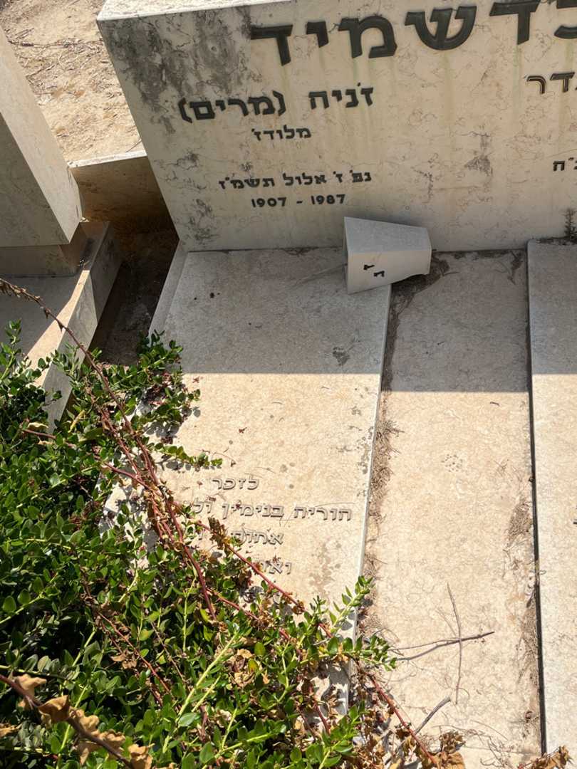 קברו של זניה "מרים" גולדשמיד. תמונה 2
