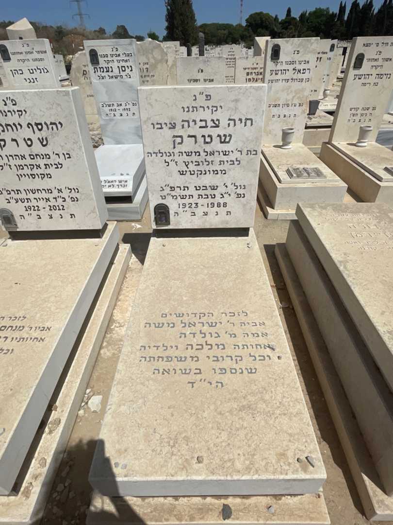 קברו של חיה צביה "ציבו" שטרק. תמונה 2