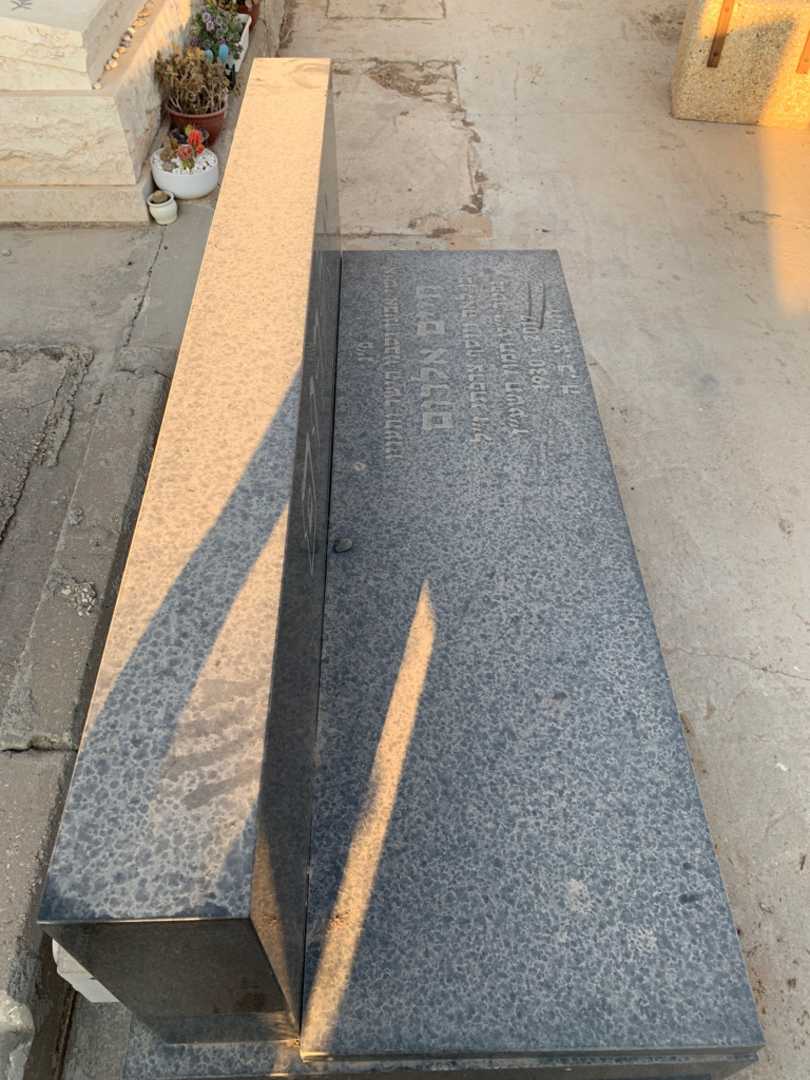 קברו של חיים אלרום. תמונה 1