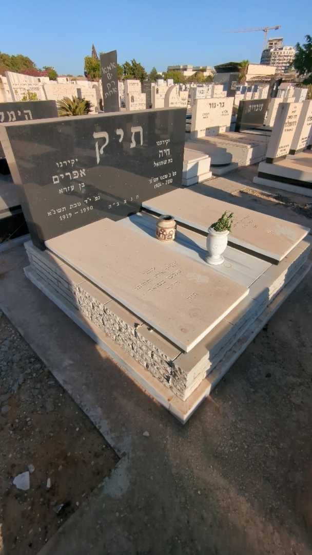 קברו של חיה תיק. תמונה 2