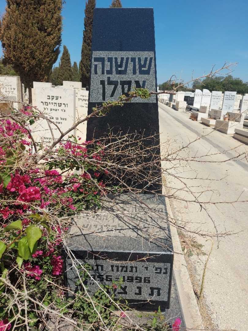 קברו של שושנה אסלן. תמונה 1