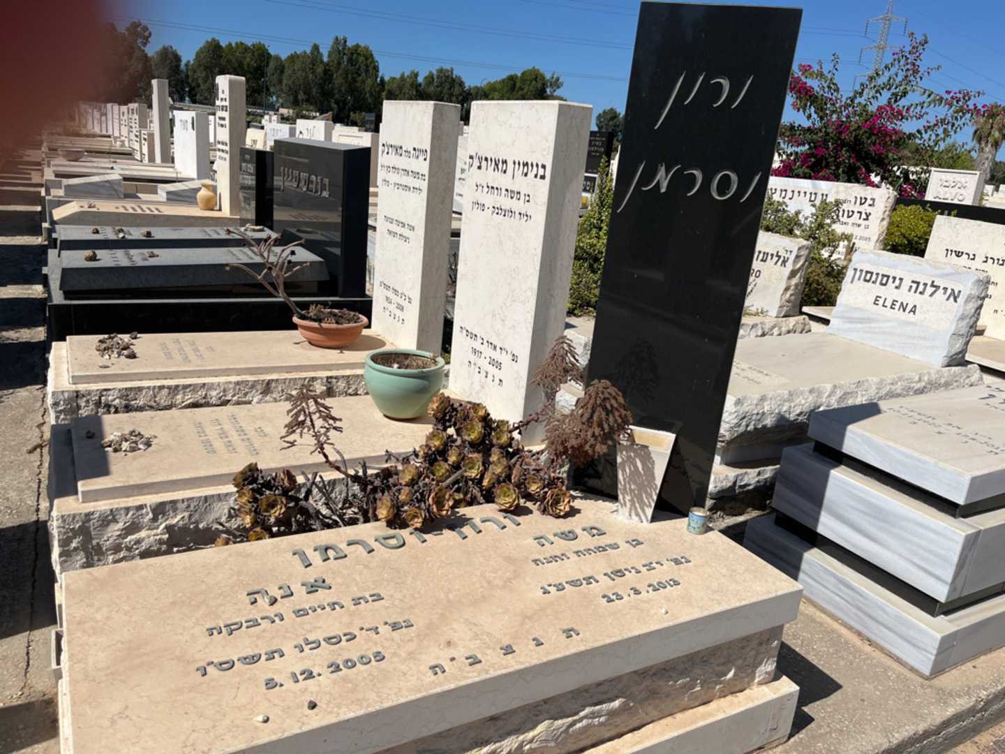 קברו של משה ורון-וסרמן. תמונה 1