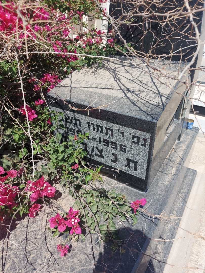 קברו של שושנה אסלן. תמונה 2