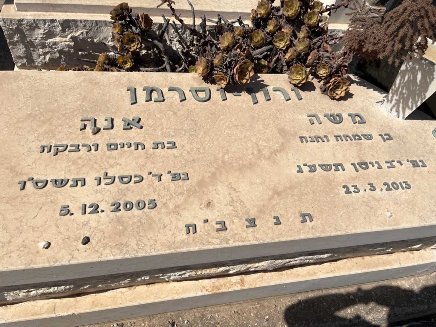 קברו של משה ורון-וסרמן. תמונה 2