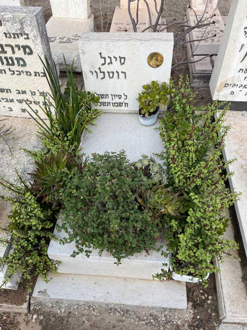 קברו של סיגל רוטלוי