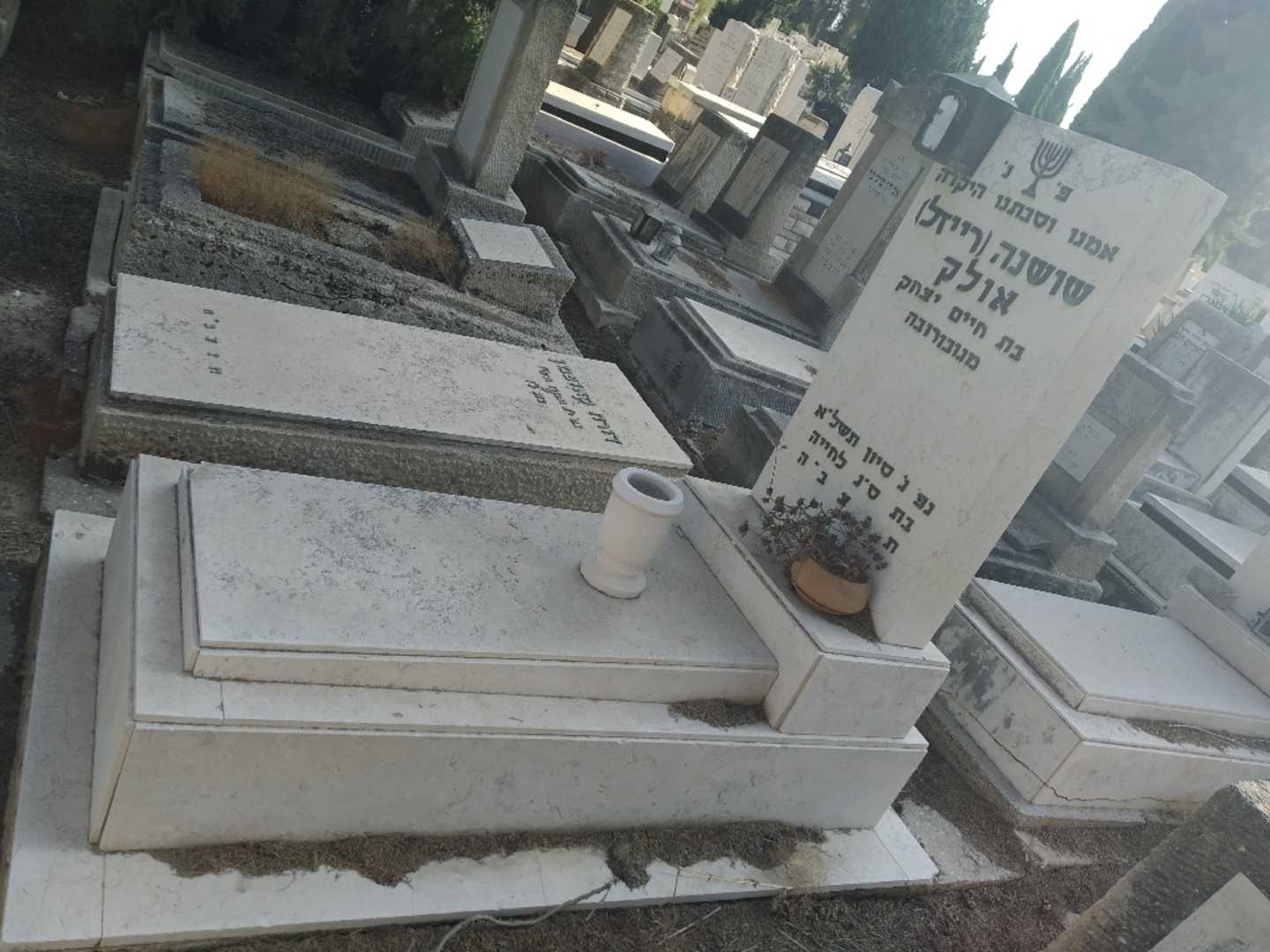 קברו של שושנה רייזל אולק