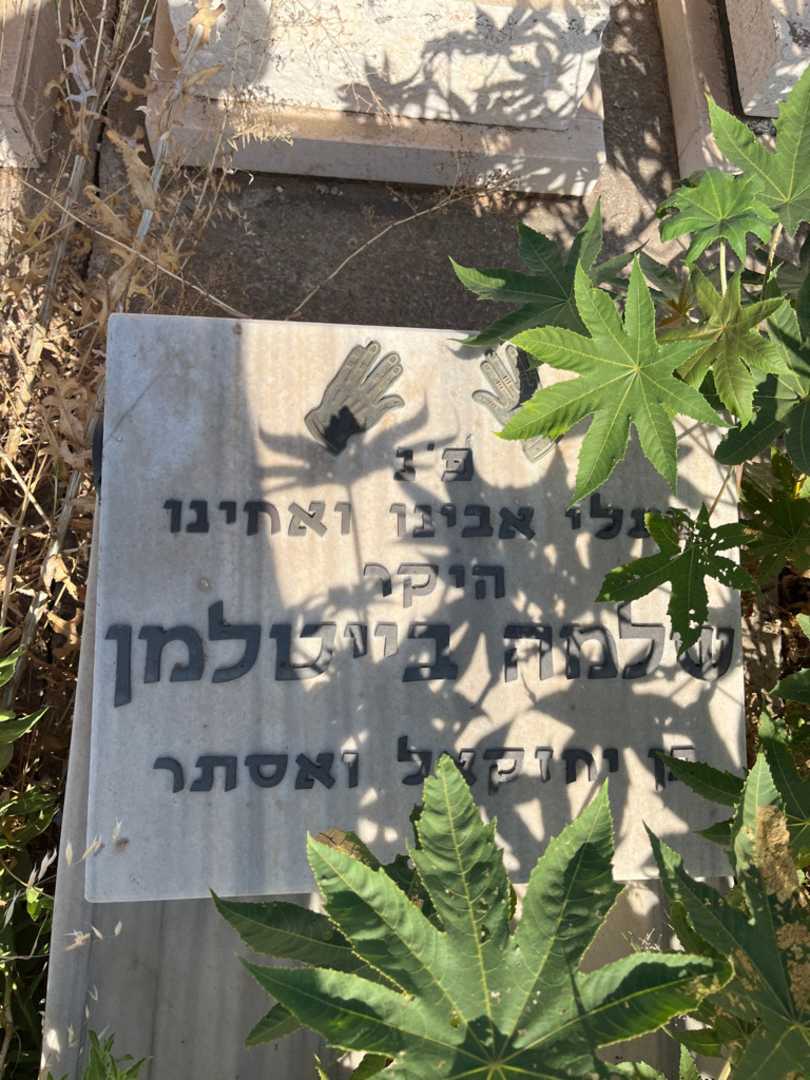 קברו של שלמה בייטלמן. תמונה 2
