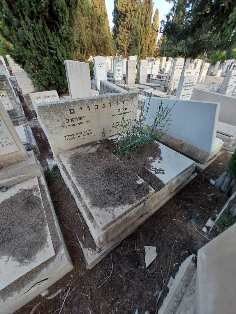 קברו של שרה רוזנבוים. תמונה 1