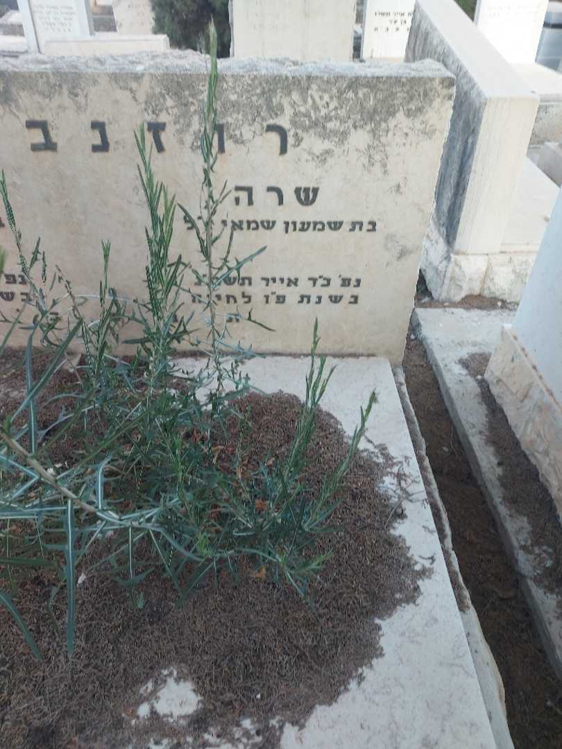 קברו של שרה רוזנבוים. תמונה 2