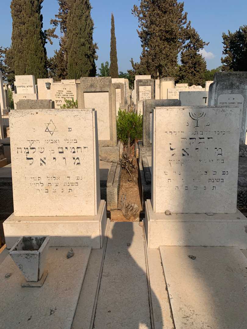קברו של רבקה מויאל. תמונה 1