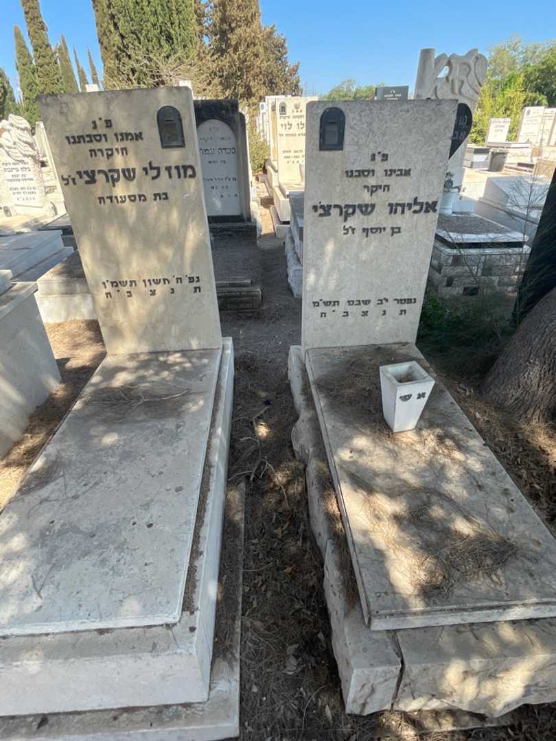 קברו של אליהו שקרצ'י. תמונה 1