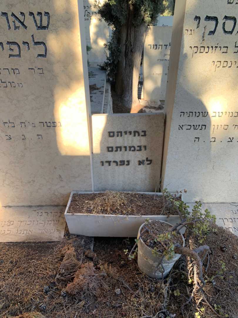 קברו של שאול יונה ליפינסקי. תמונה 2