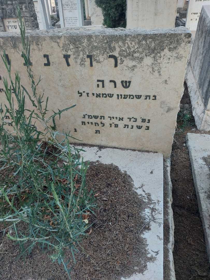 קברו של שרה רוזנבוים. תמונה 3