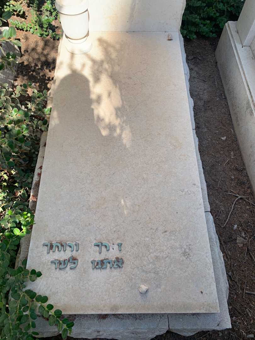 קברו של זאב וולקוביץ. תמונה 2