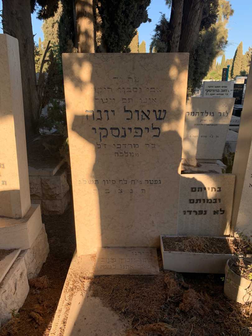 קברו של שאול יונה ליפינסקי. תמונה 3