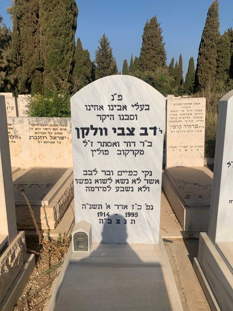 קברו של דב צבי וולקן
